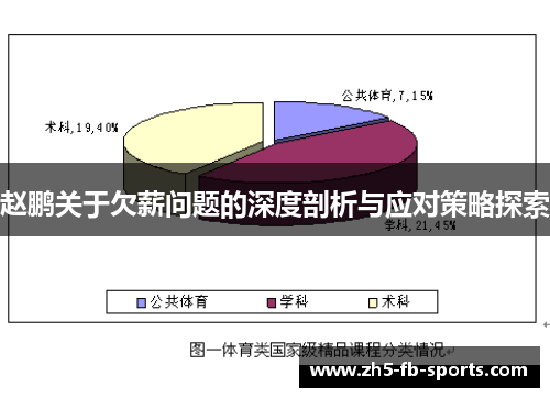 赵鹏关于欠薪问题的深度剖析与应对策略探索