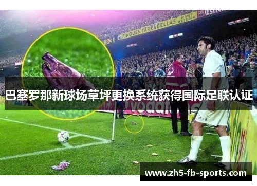 巴塞罗那新球场草坪更换系统获得国际足联认证